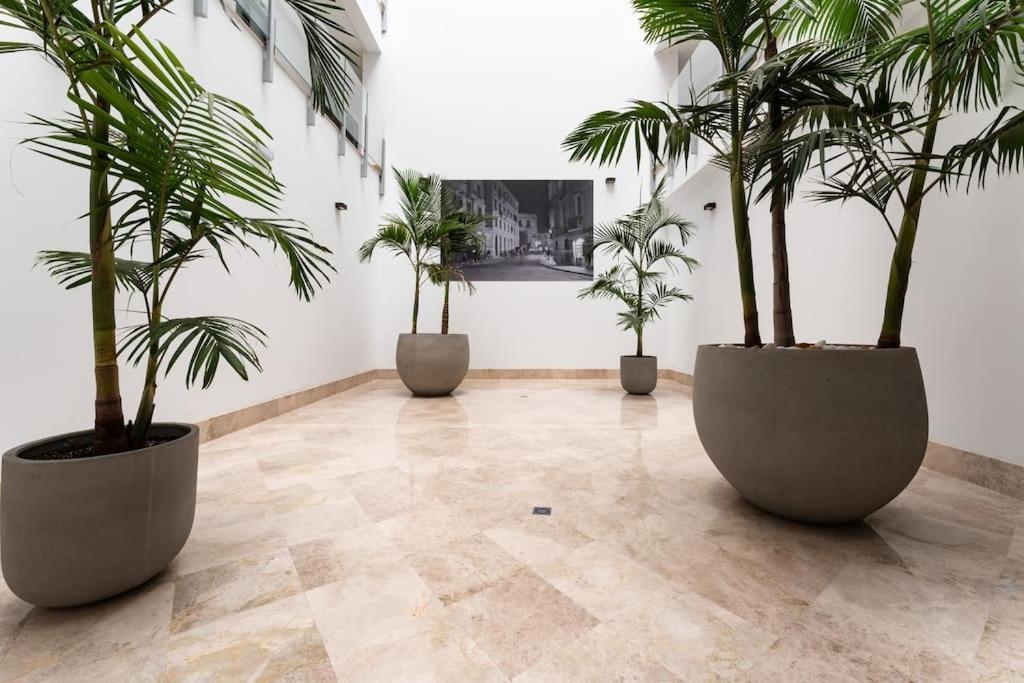 Ferienwohnung Premium Flat In Malaga Center With Free Parking Exterior foto